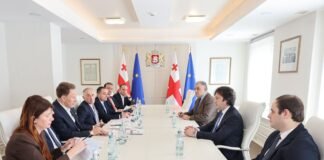 საქართველოს პრემიერ-მინისტრი ირაკლი კობახიძე სამედიცინო ბიზნესის წარმომადგენლებს შეხვდა