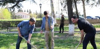 გარდაბნის მერიამ დედამიწის დღის აღნიშვნა გამწვანების აქციით დაიწყო