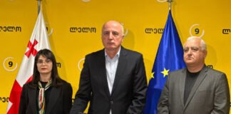 ნინო სულაძემ ,,ენმ” დატოვა და „ლელოს“ შეუერთდა