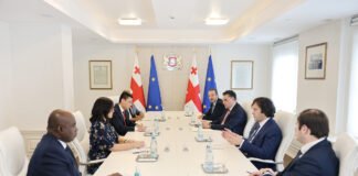 ირაკლი კობახიძე გაეროში სხვადასხვა ქვეყნის მუდმივ წარმომადგენლებს შეხვდა