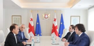 ირაკლი კობახიძე საქართველოში ირანის ისლამური რესპუბლიკის საგანგებო და სრულუფლებიან ელჩს, მაჰმუდ ადიბს შეხვდა