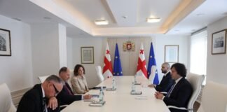 ირაკლი კობახიძე ელჩებს შეხვდა