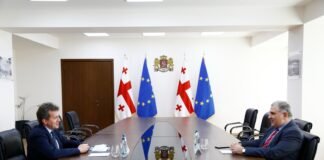 მიხეილ სარჯველაძე გაეროს ბავშვთა ფონდის წარმომადგენელ იესპერ მოლერს შეხვდ