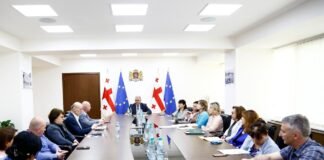 ჯანდაცვის სამინისტროში აქონდროპლაზიის სამკურნალო მედიკამენტ „ვოსორიტიდის“ გეოგრაფიული ხელმისაწვდომობის გაზრდის ინიციატივაზე იმსჯელეს