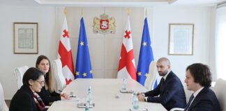 ირაკლი კობახიძე საქართველოში ევროკავშირის სადამკვირვებლო მისიის ახლად დანიშნულ ხელმძღვანელს, ბეტინა ბუგანის შეხვდა