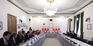 ლექსანდრე ტაბატაძე საქართველოში ვიზიტად მყოფ თურქეთის რესპუბლიკის დიდი ეროვნული ასამბლეის ეროვნული თავდაცვის კომიტეტის დელეგაციას შეხვდა