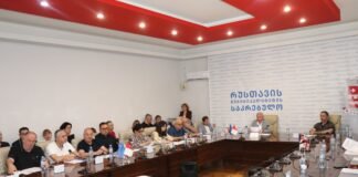 რუსთავში საკრებულოს რიგით N33 სხდომა გაიმართა