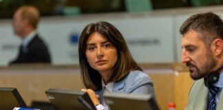 ნინო ლაცაბიძე ბრიუსელში ევროკავშირის გაფართოების დღისადმი მიძღვნილ შეხვედრას დაესწრო