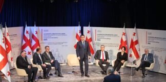 საყოველთაო-სახალხო განხილვის საორგანიზაციო კომისიამ დასავლეთ საქართველოს ექვს ქალაქში საქართველოს კონსტიტუციური კანონპროექტების განხილვა დაასრულა