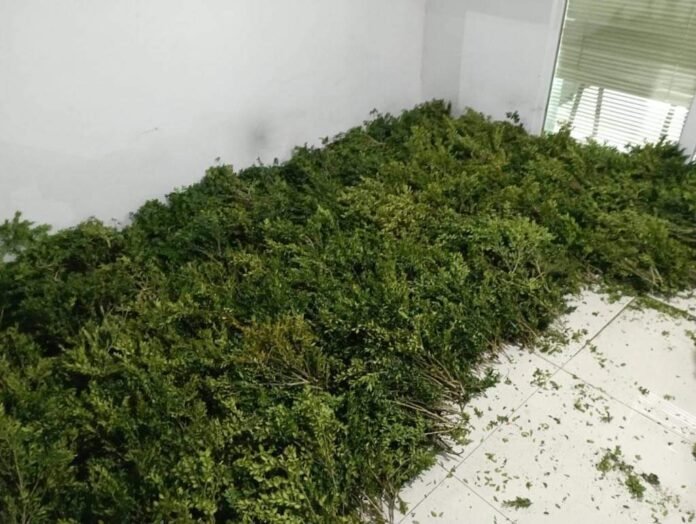 FB_IMG_1714228460307