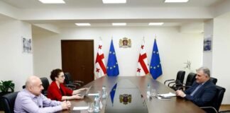 მიხეილ სარჯველაძე გაეროს მოსახლეობის ფონდის (UNFPA) საქართველოს ოფისის ხელმძღვანელ მარიამ ბანძელაძეს შეხვდა