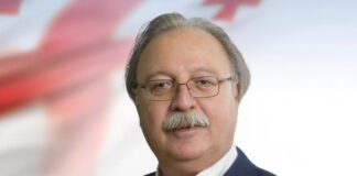 გრიგოლ ვაშაძე პარლამენტს ტოვებს