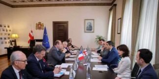 შალვა პაპუაშვილი საფრანგეთის რესპუბლიკის სენატის დელეგაციას შეხვდა