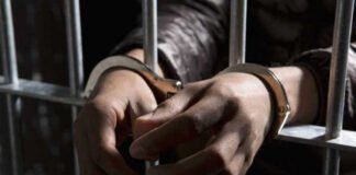 ტექნიკური უნივერსიტეტის დეკანის დამამძიმებელ გარემოებებში მკვლელობისთვის სასამართლომ ორ პირს 20-20 წლით თავისუფლების აღკვეთა შეუფარდა