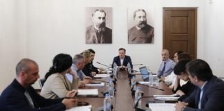 რეგიონული პოლიტიკისა და თვითმმართველობის კომიტეტმა სახელმწიფოს ენერგეტიკულ პოლიტიკასთან დაკავშირებულ დოკუმენტებზე იმსჯელა