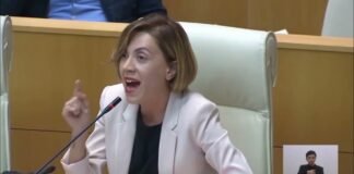 ,,ქრონიკის” დაიჯესტი 29. 05. 2024
