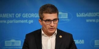 „არა რუსულ კანონს, კი ევროპას“ – ახალგაზრდებო, ბოლომდე გეთანხმებით ამ სლოგანში”-მამუკა მდინარაძე