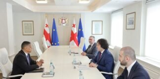 საქართველოს პრემიერ-მინისტრი ირაკლი კობახიძე მსოფლიო ბანკის აღმასრულებელ დირექტორს, იუჯინ რუგენაათს შეხვდა