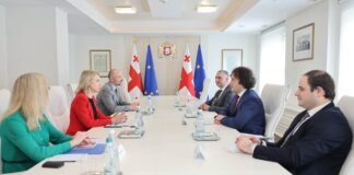 საქართველოს პრემიერ-მინისტრი ირაკლი კობახიძე ევროპის საინვესტიციო ბანკის (EIB) ვიცე-პრეზიდენტ ტერეზა ჩერვინსკას შეხვდა