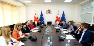 ჯანდაცვის მინისტრის მოადგილეები ჯანმრთელობის მსოფლიო ორგანიზაციის წარმომადგენლებსა და ექსპერტებს შეხვდნენ