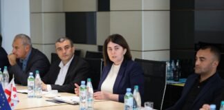 ქვემო ქართლში სახელმწიფო რწმუნებულის ადმინისტრაციაში, სამუშაო შეხვედრა გაიმართა