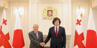ირაკლი კობახიძე იაპონიის ფინანსთა მინისტრს სუზუკი შუნიჩის შეხვდა