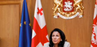 საქართველოს პრეზიდენტი ევროკავშირის წევრი ქვეყნების ელჩებს შეხვდა