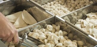 გაყინული პელმენის ნიმუშში სალმონელა გამოვლინდა