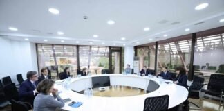 შალვა პაპუაშვილი ევროპისა და ევრაზიის საკითხებში ამერიკის შეერთებული შტატების სახელმწიფო მდივნის თანაშემწეს ჯიმ ო’ბრაიენს შეხვდა