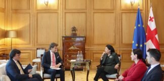 საქართველოს პრეზიდენტმა ეუთო/ოდირის დირექტორთან საქართველოში მიმდინარე მოვლენები განიხილა