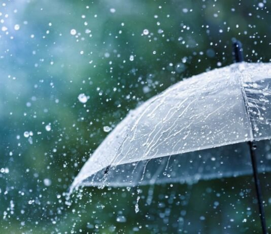 13 იანვრამდე საქართველოს ზოგიერთ რაიონში დროგამოშვებით ნალექიანი ამინდია მოსალოდნელი