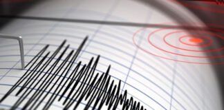 საქართველოში მიწისძვრა მოხდა