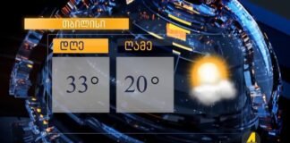 ,,ქრონიკის” დაიჯესტი 13.06.2024