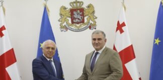 მიხეილ სარჯველაძე საქართველოში სომხეთის ელჩს შეხვდა