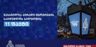 სპეციალურმა საგამოძიებო სამსახურმა, პირადი ცხოვრების საიდუმლოს ხელყოფისა და სექსუალური ხასიათის ქმედების იძულების 11 ფაქტი გამოავლინა