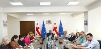 ჯანდაცვის მინისტრი სისხლის ბანკების ხელმძღვანელებსა და წარმომადგენლებს შეხვდა