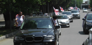 საქართველოს ეროვნული ნაკრების მხარდასაჭერი მსვლელობა გარდაბანში