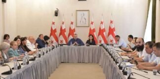 ადამიანის უფლებათა დაცვისა და სამოქალაქო ინტეგრაციის კომიტეტმა შეზღუდული შესაძლებლობის მქონე პირთა მხარდამჭერი პროგრამების შესრულების მიმდინარეობის შესახებ ინფორმაციის მოისმინა