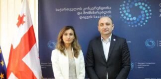 ირაკლი ლექვინაძე ნიდერლანდების სამეფოს ელჩს საქართველოში მელინე არაკელიანს შეხვდა