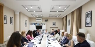 გენდერული თანასწორობის საბჭომ ქალთა ეკონომიკური გაძლიერების სახელმწიფო კონცეფციის შესრულების მონიტორინგის შედეგებზე იმსჯელა