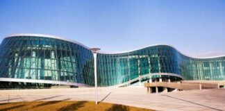 დამამძიმებელ გარემოებაში ჩადენილი განზრახ მკვლელობა და ცეცხლსასროლი იარაღის უკანონო შეძენა-შენახვა-ტარებისთვის პირობითი მსჯავრის ქვეშ მყოფი დააკავეს