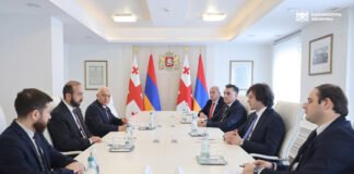 პრემიერ-მინისტრი სომხეთის რესპუბლიკის საგარეო საქმეთა მინისტრს შეხვდა