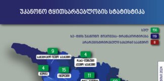 უკანონო ტყითსარგებლობასთან ბრძოლის ფარგლებში ივნისის თვეში 156 ფაქტი გამოავლინეს