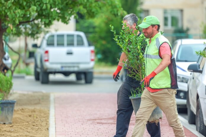 449787287_466085662711433_6793496583585590875_n