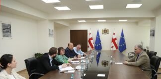 მიხეილ სარჯველაძე ევროკავშირის პროფკავშირების გენერალურ მდივან ესტერ ლინჩსა და საქართველოს პროფკავშირების გაერთიანების თავმჯდომარე ირაკლი პეტრიაშვილს შეხვდა