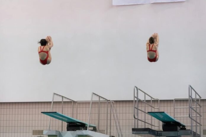 451477508_795092666140091_4687626778975729842_n