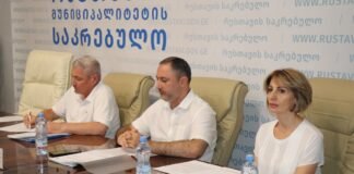 რუსთავში სპორტისა და ახალგაზრდობის მიმართულებით ა(ა)იპ-ები დაფუძნდება