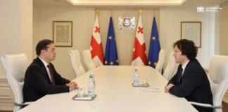 ირაკლი კობახიძე საქართველოს სახალხო დამცველს, ლევან იოსელიანს შეხვდა