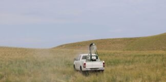 აღმოსავლეთ საქართველოში კალიების საწინააღმდეგოდ 12 ათასი ჰა ფართობია დამუშავებული