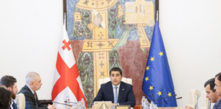 პარლამენტში ამნისტიის პროექტის განხილვა მომდევნო კვირაში დაიწყება